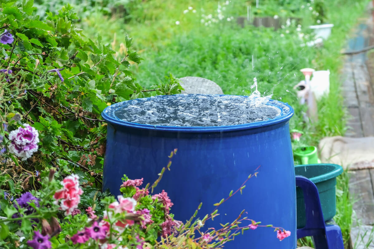 Gieß Tipps für deinen Garten